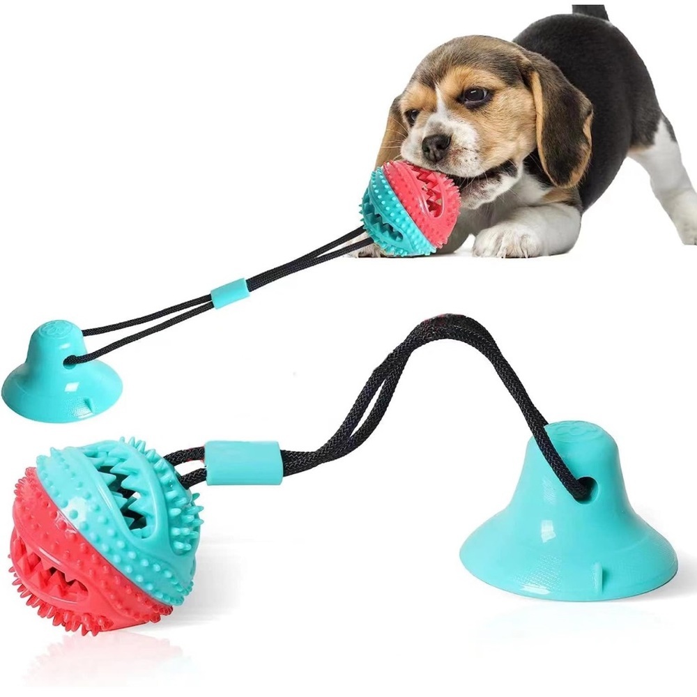 Suction Cup Dog Toy 🐾